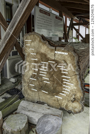 Katsuyama Wood Community Center, Amanoiwato Natural Cedar, Maniwa City, Okayama Prefecture 126204676