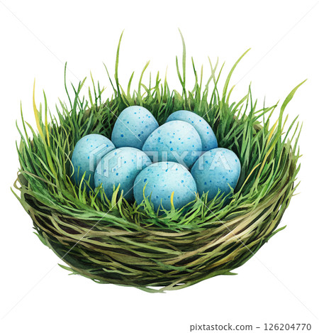 Nest made of twigs and grass holding several blue speckled eggs, symbolizing new life and springtime renewal, set against plain background 126204770