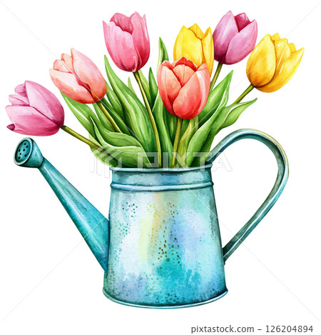 Watercolor illustration of watering can filled with colorful tulips, featuring pink, yellow, and purple flowers with green leaves, creating vibrant and cheerful floral scene 126204894