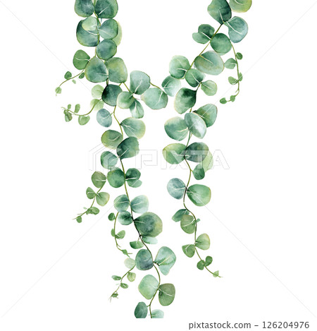 Watercolor eucalyptus leaves with soft green tones, delicate and natural, perfect for botanical decor or design projects, evoking freshness and tranquility 126204976