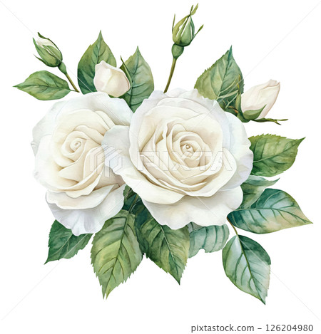 Elegant white roses with lush green leaves, delicate buds, and soft petals create serene and beautiful floral arrangement, evoking feelings of purity and grace Elegant white roses with lush green leaves, delicate buds, and soft petals create serene and beautiful floral arrangement, evoking feelings of purity and grace 126204980