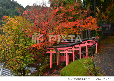 秋葉、樓梯和稻荷神社 126205762
