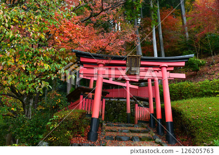 秋葉、樓梯和稻荷神社 126205763