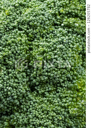 Green Broccoli Head with Detailed Texture Green Broccoli Head with Detailed Texture 126205782