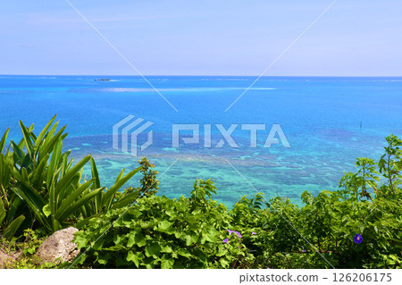 View from the observation deck at Chinen Cape Park (Nanjo City, Okinawa Prefecture) 126206175