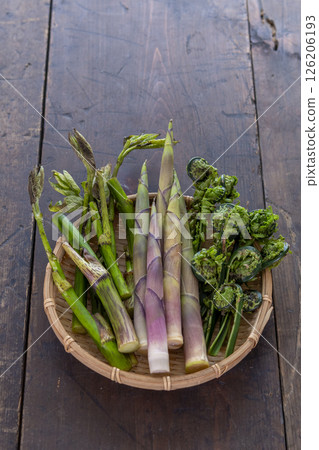 Spring wild vegetables (udo, bamboo shoots, kogomi) 126206193