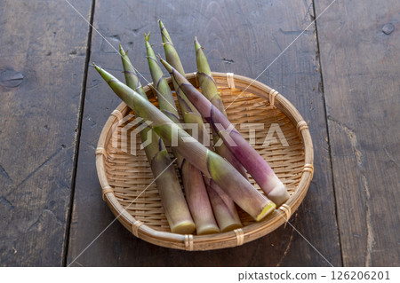 春季野生植物:竹根 春季野生植物:竹根 126206201