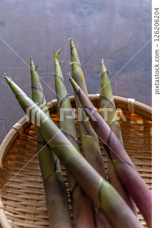 Spring wild plants: Bamboo root 126206204