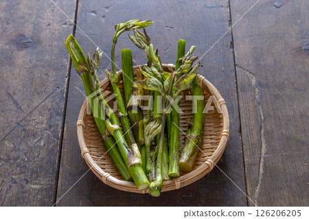 春天的野生蔬菜 126206205