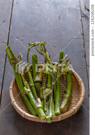 春天的野生蔬菜 126206206