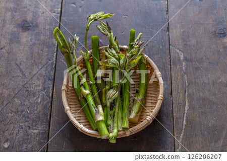 春天的野生蔬菜 126206207