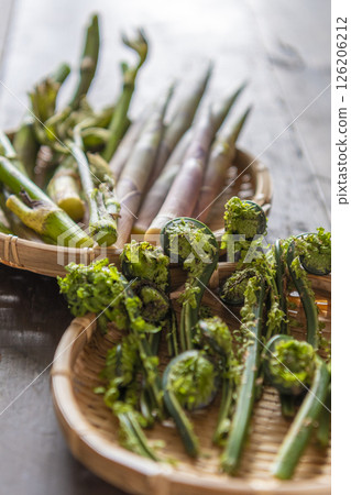 Spring wild vegetables (udo, bamboo shoots, kogomi) 126206212