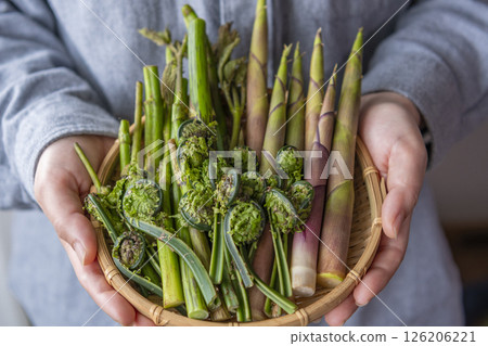 春季野菜（馬鈴薯、竹筍、木魚） 126206221