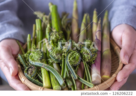 春季野菜(馬鈴薯、竹筍、木魚) 春季野菜(馬鈴薯、竹筍、木魚) 126206222