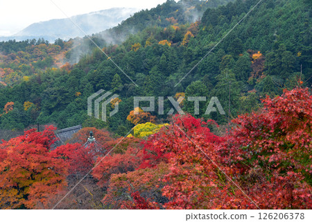 秋葉環繞的吉峰寺 126206378