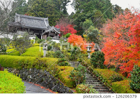 被紅葉包圍的禪寶寺正殿 126206379