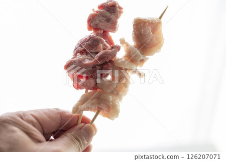 豬頭掌機 126207071