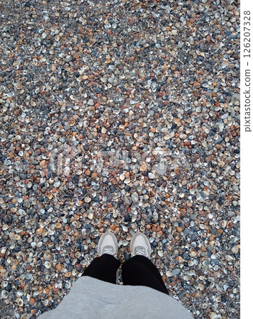 shell beach of the Caspian Sea, Makhachkala, Russia, legs of a girl in light sneakers, top view shell beach of the Caspian Sea, Makhachkala, Russia, legs of a girl in light sneakers, top view 126207328