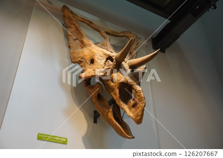 巨型恐龍 巨型恐龍 126207667