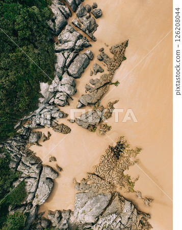 Aerial view of rocky coastline with green vegetation 126208044