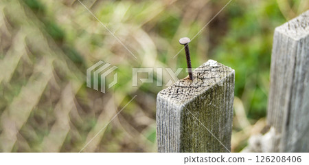 Close-up of an old wooden fence with a nail sticking out, outdoors on a summer day 126208406