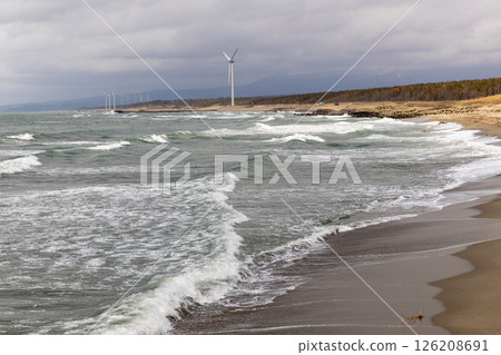 Sandy beach and rows of windmills Sandy beach and rows of windmills 126208691