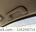 Assist grip 126208714