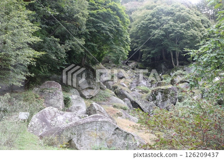 The garden of Seiunji Temple in Koshu, Yamanashi Prefecture (prefecturally designated place of scenic beauty) 126209437
