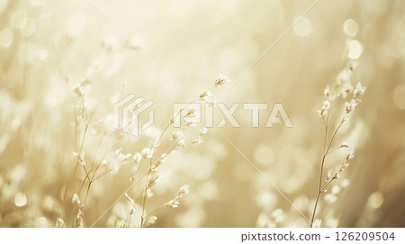 蓬鬆的花朵 126209504