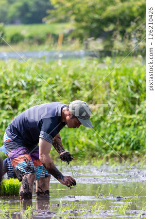 父母和孩子的水稻種植經驗 父母和孩子的水稻種植經驗 126210426