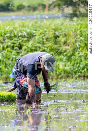 父母和孩子的水稻種植經驗 父母和孩子的水稻種植經驗 126210427
