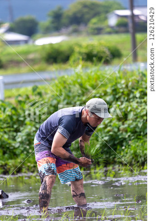 父母和孩子的水稻種植經驗 126210429