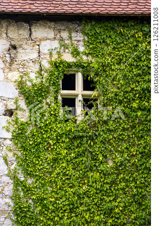 Ivy-covered facade and window of Ribnik Castle in the village of Ribnik, Karlovac County, Croatia, Europe 126211008