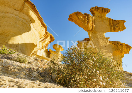 Sandstone formations Bolnuevo, Spain 126211077