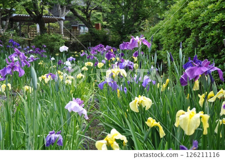 這個節目 126211116