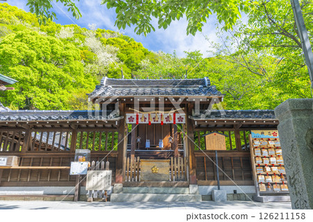 Kitano Tenmangu Shrine - The main hall surrounded by fresh greenery Kitano Tenmangu Shrine - The main hall surrounded by fresh greenery 126211158