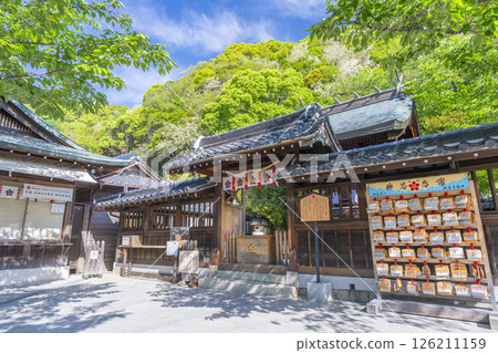 Kitano Tenmangu Shrine - The main hall surrounded by fresh greenery Kitano Tenmangu Shrine - The main hall surrounded by fresh greenery 126211159