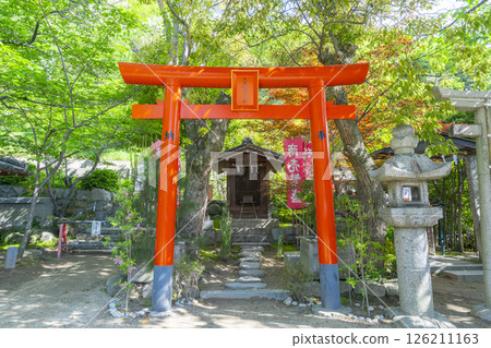 天高稻荷神社,位於北野天滿宮境內 天高稻荷神社,位於北野天滿宮境內 126211163