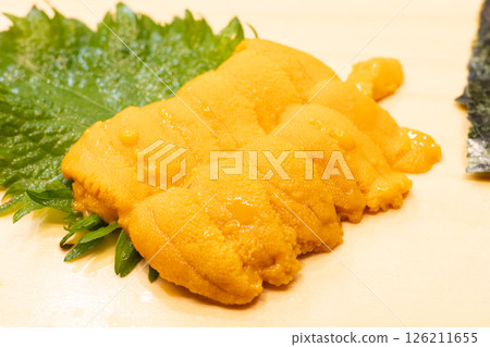 美味的海膽 美味的海膽 126211655