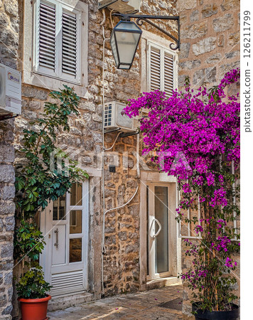 Blooming Climbing Plants in the Old Town of Bar, Montenegro Blooming Climbing Plants in the Old Town of Bar, Montenegro 126211799