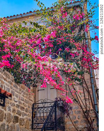 Blooming Climbing Plants in the Old Town of Bar, Montenegro 126211802