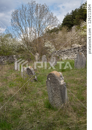 Jewish cemetery and a spring naature, Slovakia Jewish cemetery and a spring naature, Slovakia 126211804