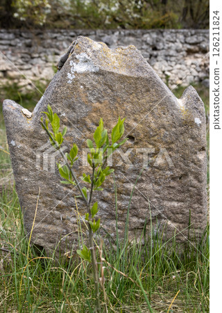 Tombstone at an abandoned jewish cemetery, Slovakia 126211824