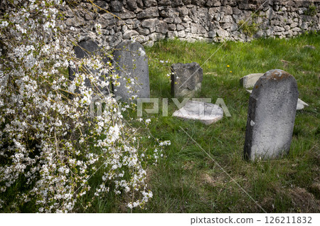 Tombstone at an abandoned jewish cemetery, Slovakia Tombstone at an abandoned jewish cemetery, Slovakia 126211832