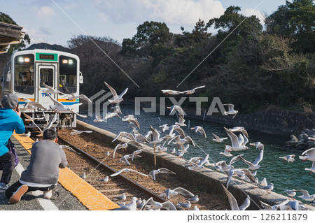 靜岡縣濱松市天龍濱名湖鐵道濱名湖佐久目站的海鷗飛翔與火車的景色 126211879