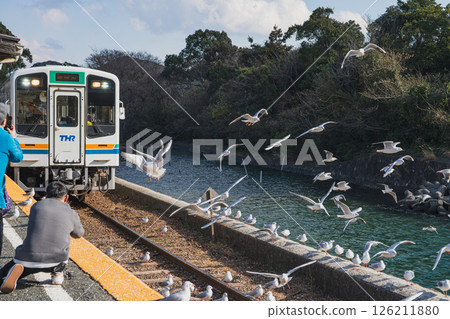 A scene of seagulls flying around and a train at Hamanako Sakume Station on the Tenryu Hamanako Railway in Hamamatsu City (Shizuoka Prefecture) 126211880