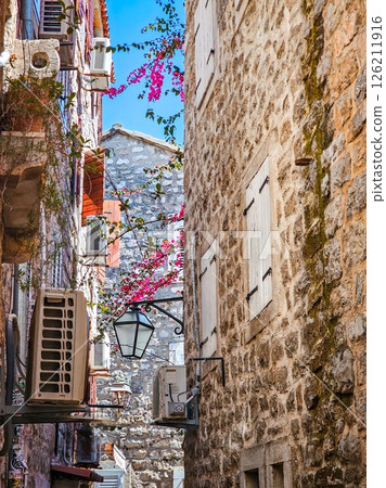 Blooming Climbing Plants in the Old Town of Bar, Montenegro 126211916