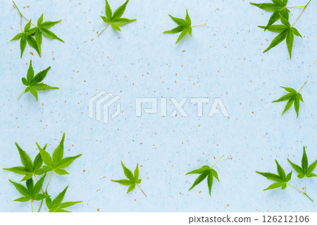 綠色的楓葉和淺藍色的日本紙背景 126212106