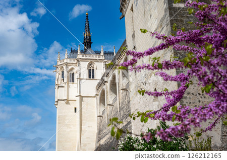 Chateau of Amboise during springtime Chateau of Amboise during springtime 126212165