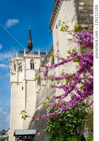 Chateau of Amboise during springtime 126212166